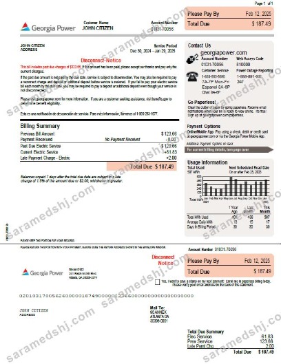 USA Georgia Power template in Word and PDF formats, version 2